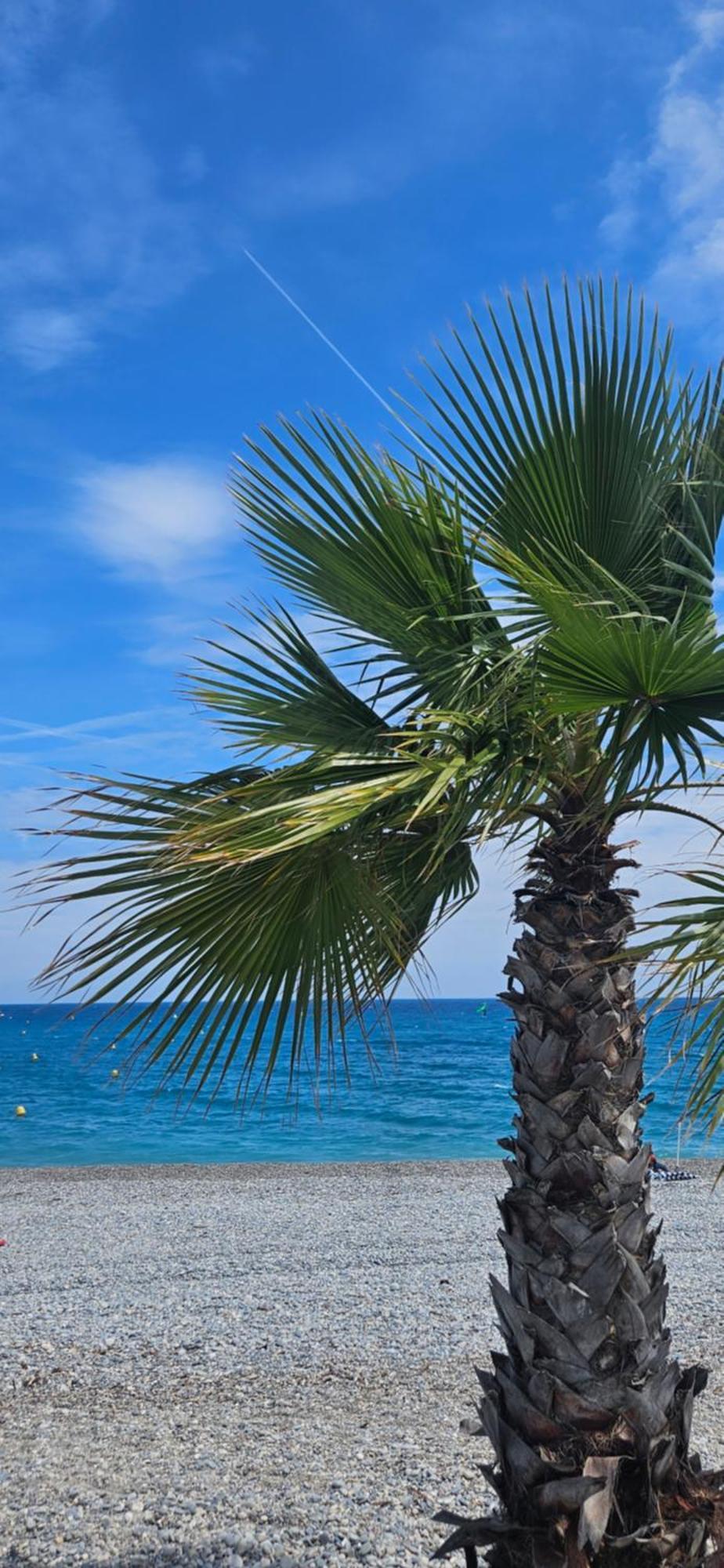Studio Saint-Laurent-Du-Var Bord De Mer Εξωτερικό φωτογραφία